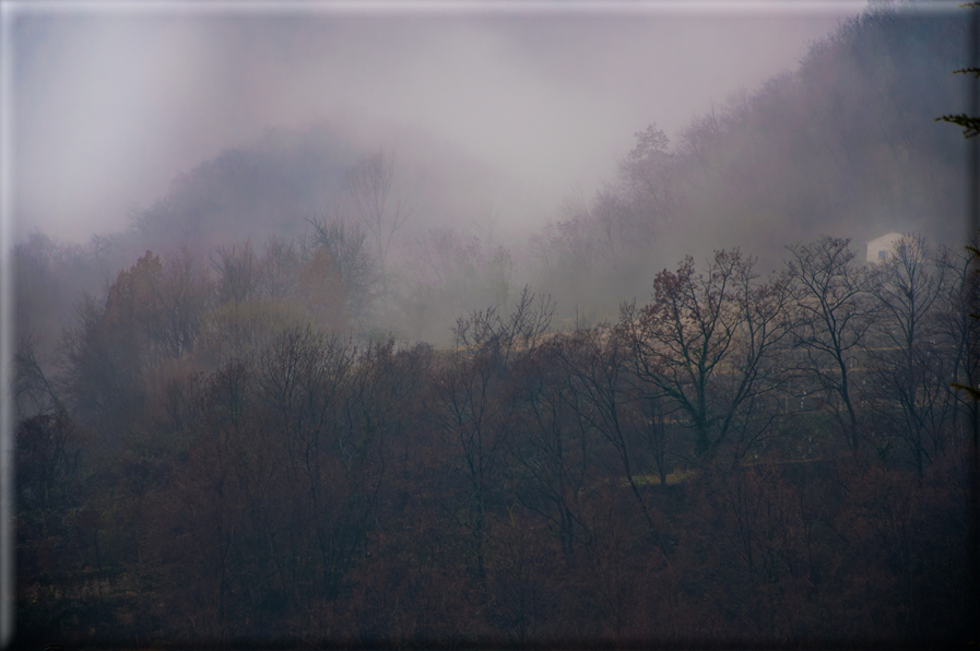 foto Colline di Romano d'Ezzelino nella Nebbia